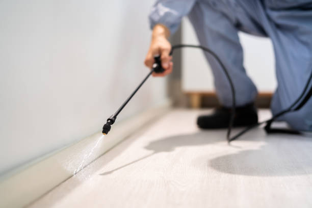 Licensed Termite Control service in Elliston, VA - Nex Pest Control
