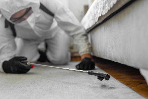 Professional Termite Control technician working in Elliston, VA