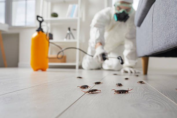 Affordable Termite Control solutions in Elliston, VA
